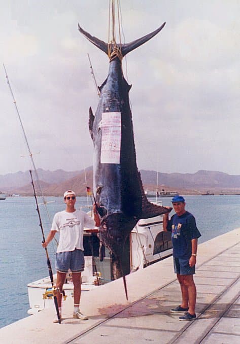 Cape Verde blue marlin grander