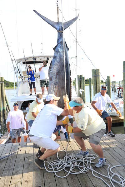 big rock landing weigh station blue marlin