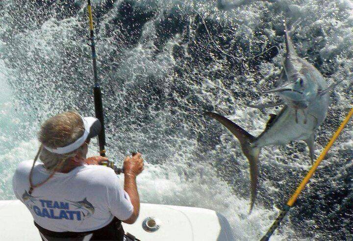 Gulf Cup Blue Marlin-3