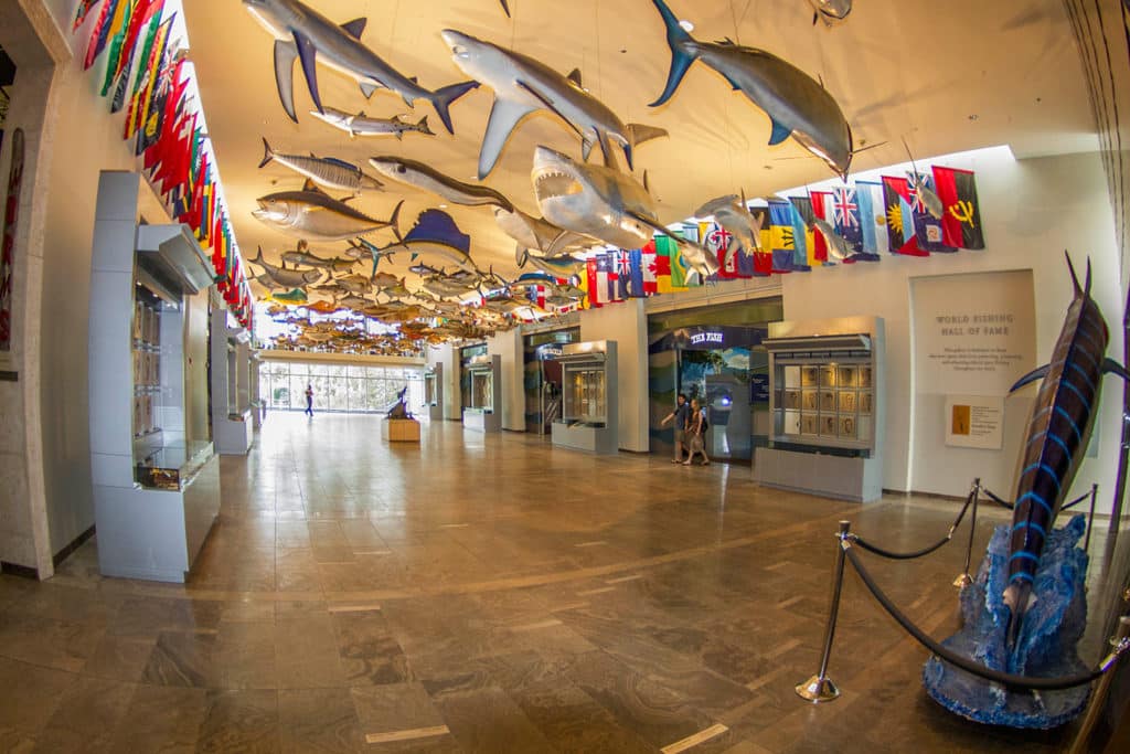 Hall of Fishes