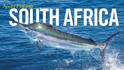 Excellent weather for an offshore trip - Bush 'n Beach Fishing Magazine