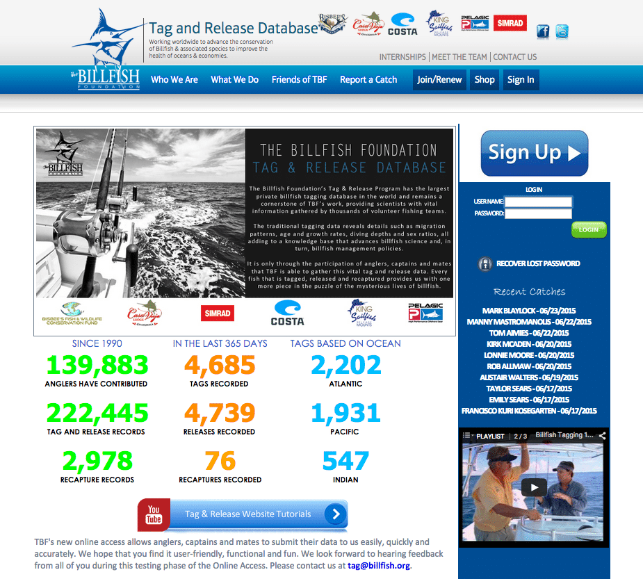 Longest Marlin Migrations