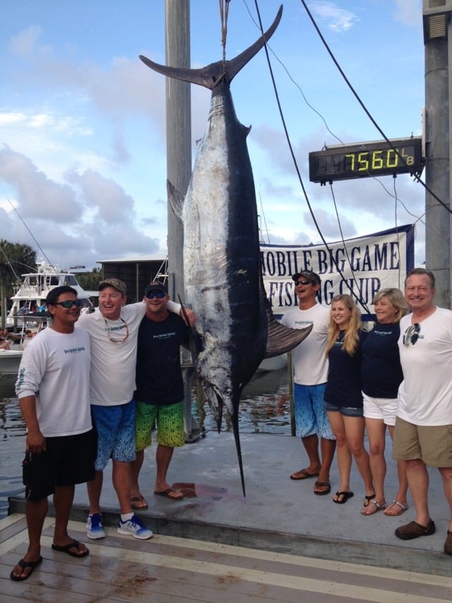 You Never Know Weighs In 756 Pound Blue Marlin