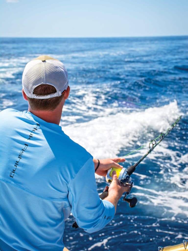 angler feeding a sailfish on dead bait