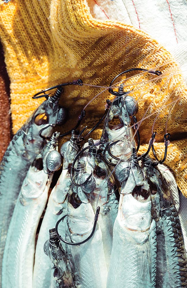 rigging baits