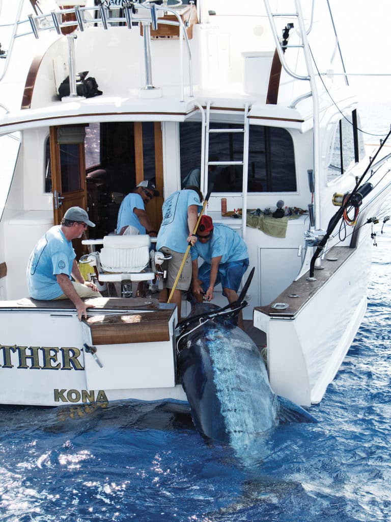 Northern Lights Fishing Marlin Hawaii