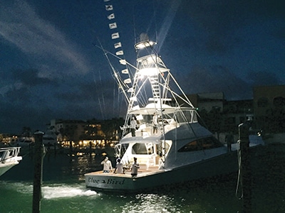 Blue Marlin Tournament Edition Canons de fête - 2 Guadeloupe