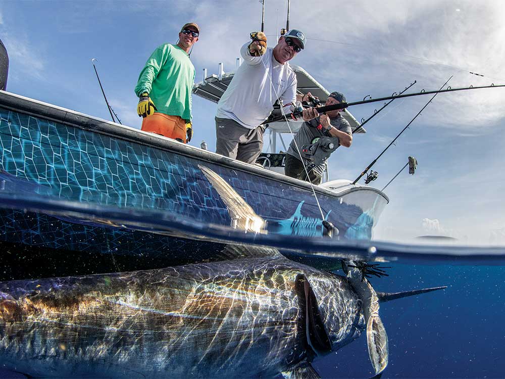 half underwater view of a swordfish boatside