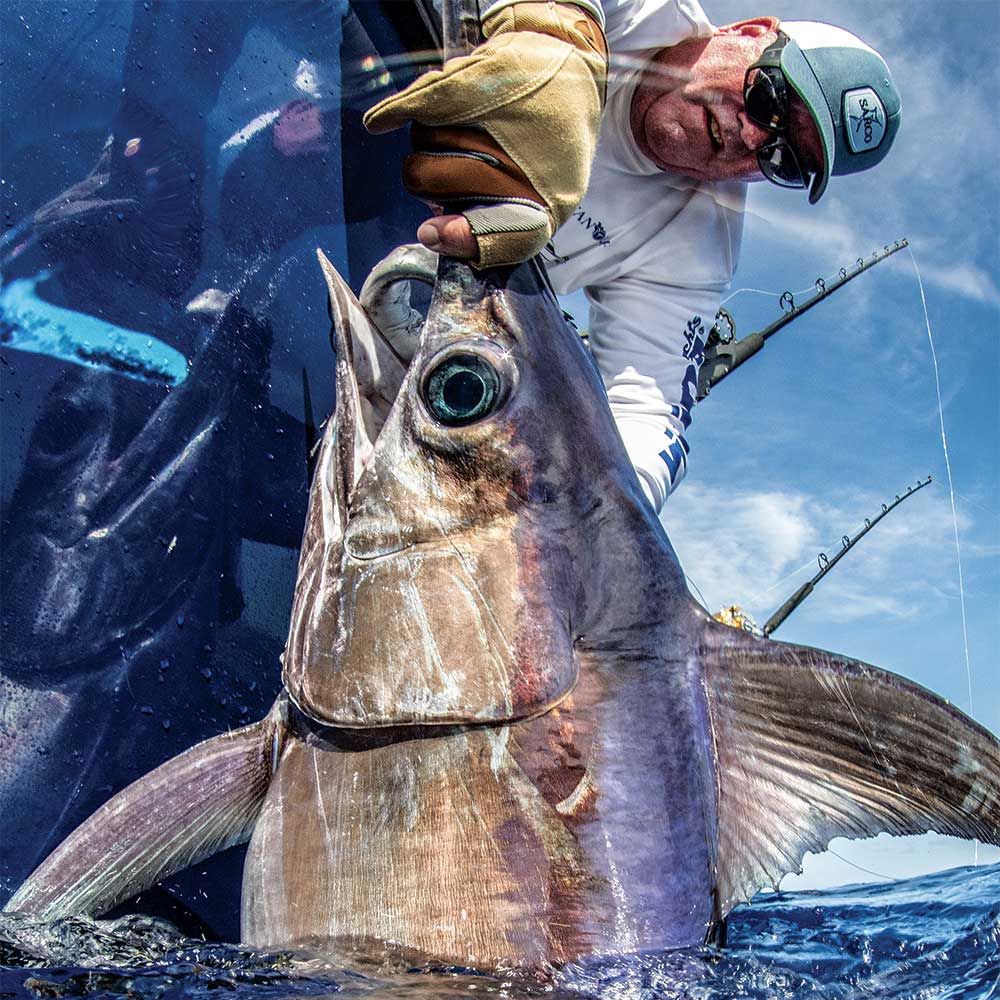 broadbill caught boatside in florida