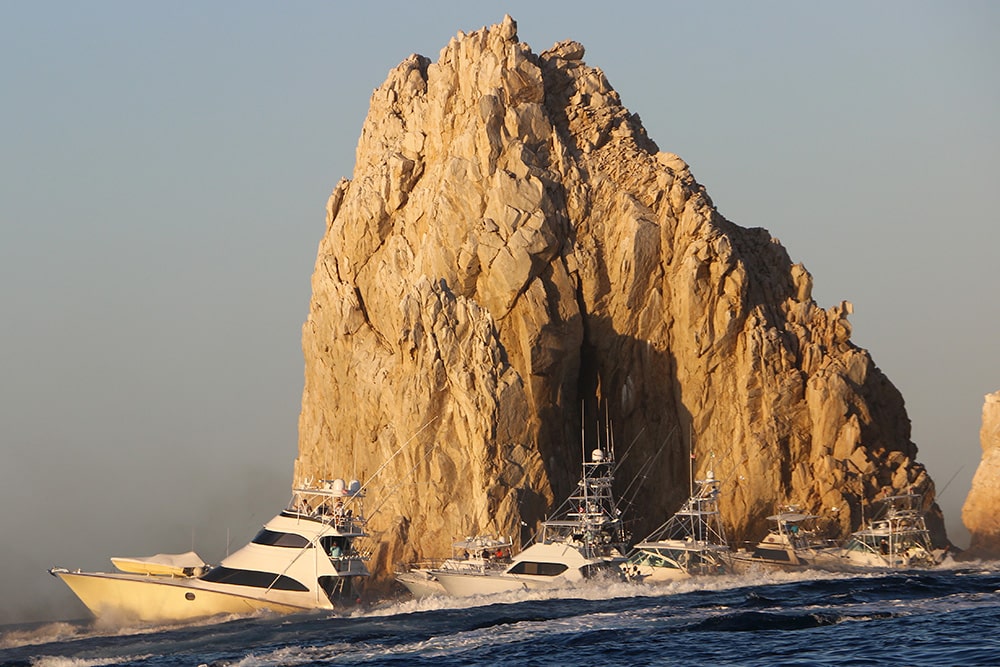 offshore-fishing boats at Bisbee's Black and Blue tournament