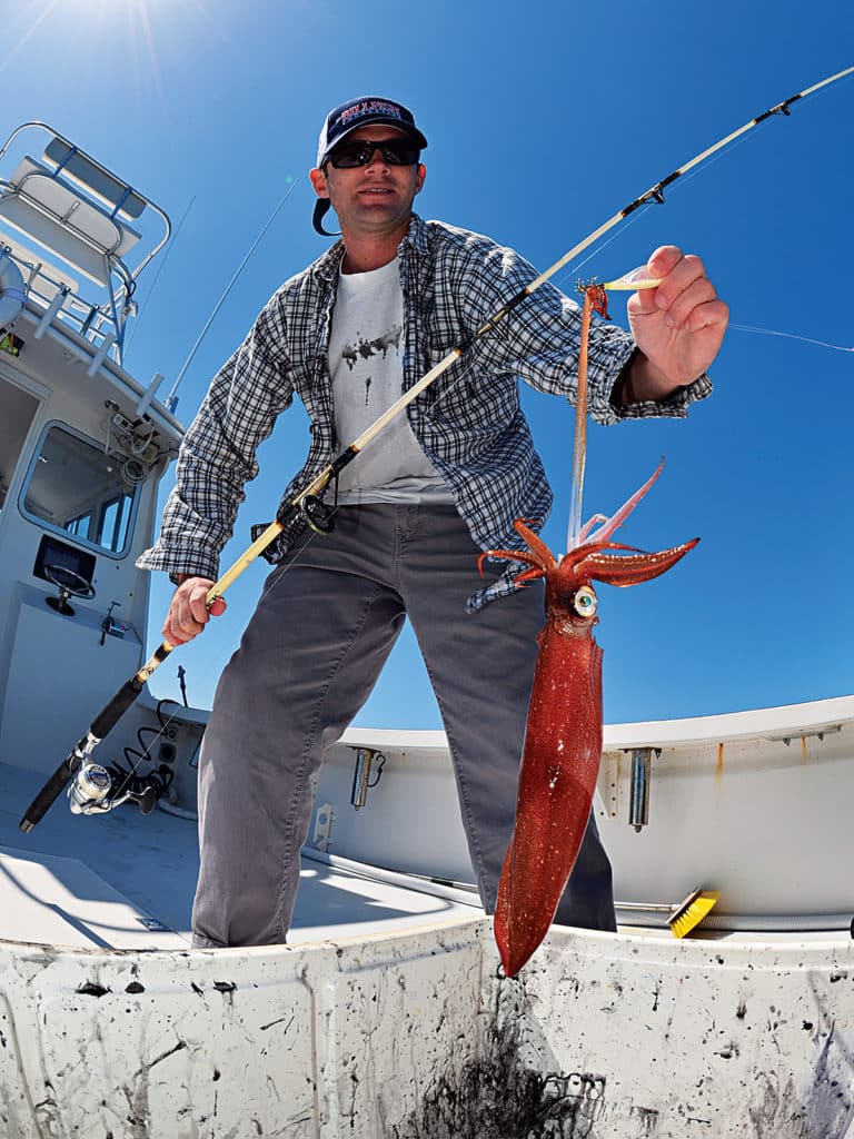 catching squid for bait