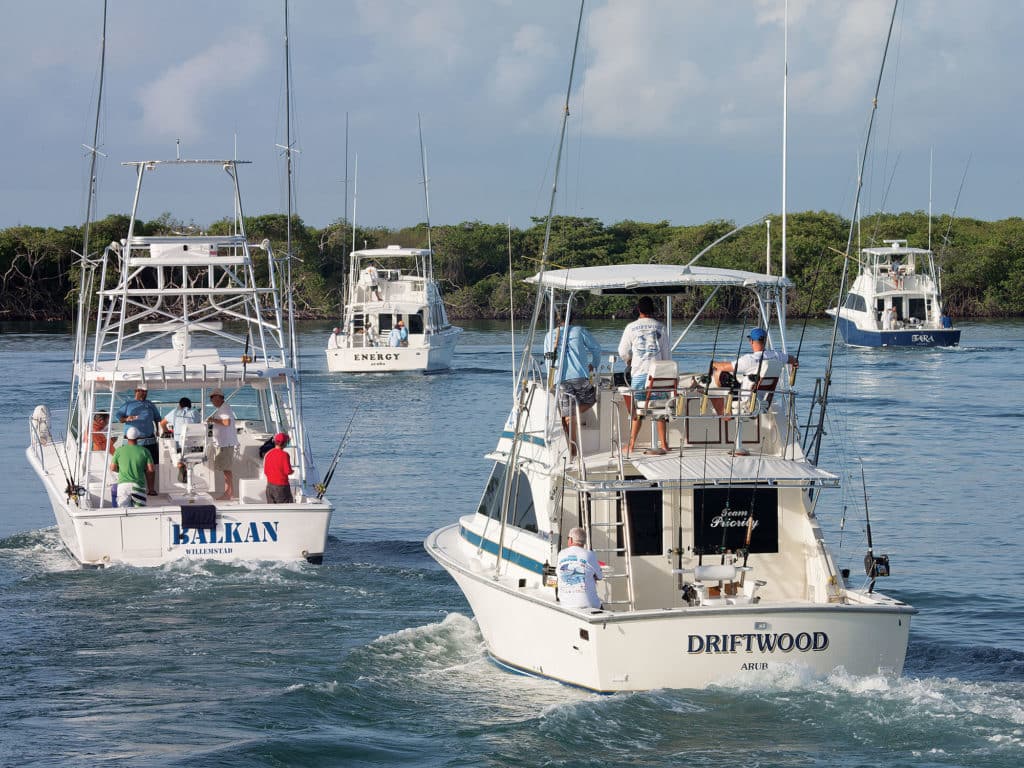 marlin sailfish fishing southern caribbean aruba bonaire curacao charter boats driftwood