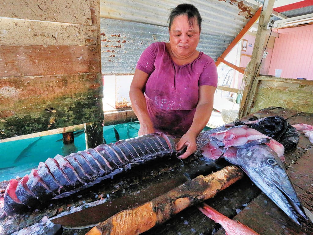 marlin sailfish fishing southern caribbean aruba bonaire curacao cleaning wahoo