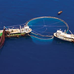 commercial fishing boats in water