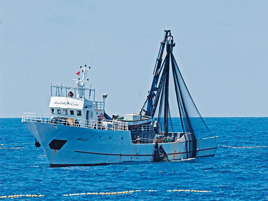 https://www.marlinmag.com/wp-content/uploads/2021/09/commercial-fishing-boat-conservation.jpg