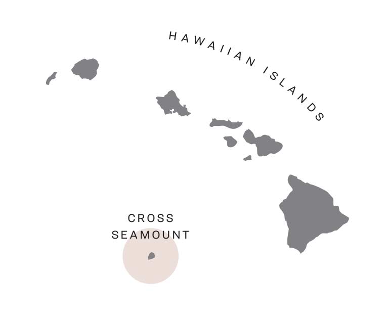 A map of Cross seamount south of the Hawaiian Islands.