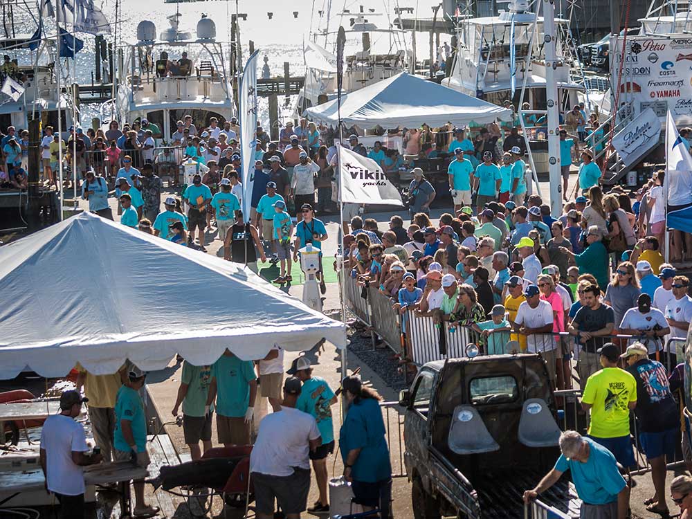 2017 mississippi gulf coast billfish classic crowds at tournament