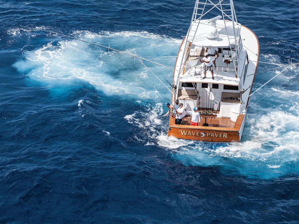 Wave Paver maneuvers on an acrobatic blue marlin.