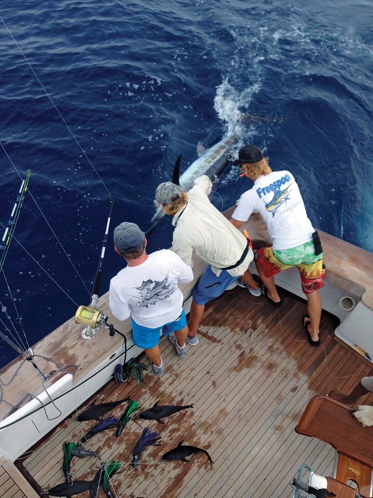 big oh billfish release ronnie fields gray ingram