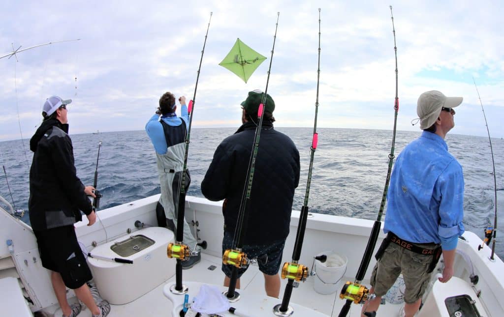 Fishing kite live bait Florida Keys