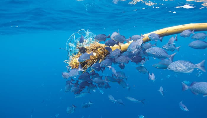 floating debris in ocean