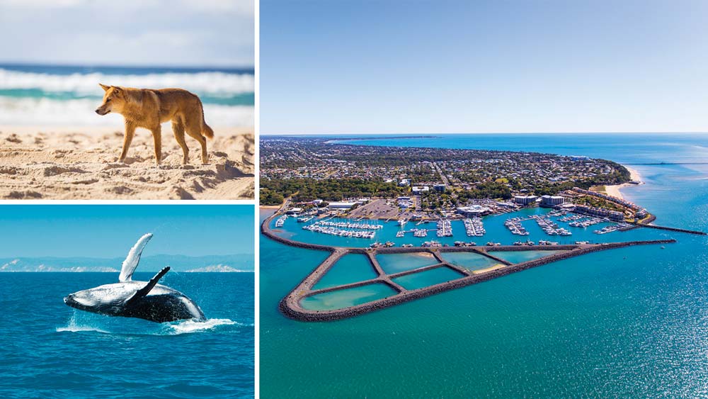 collage of images of fraser island, australia