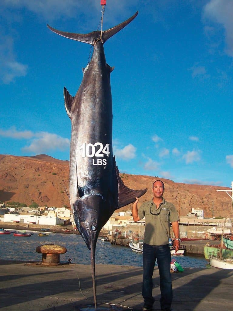 thousand pound blue marlin in cape verde africa