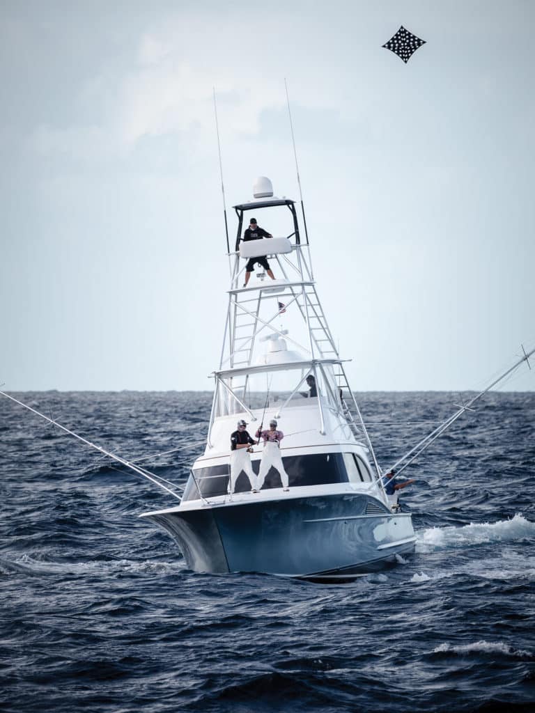 Kite-fishing Sailfish Miami