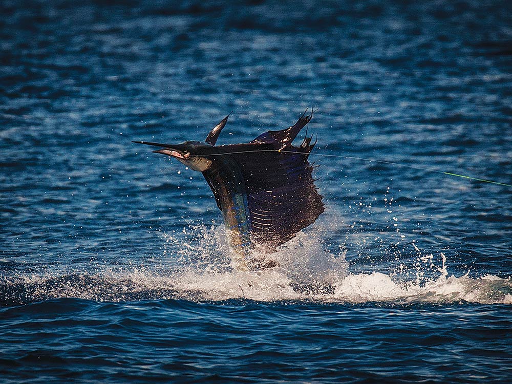 Los Sueños All-Female Fishing Tournament Team