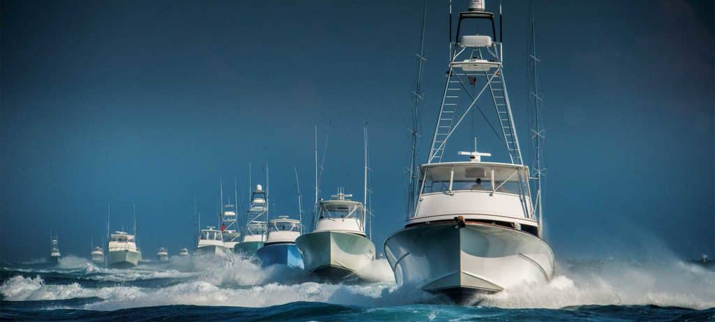 fleet of sport fishing boats out on the water