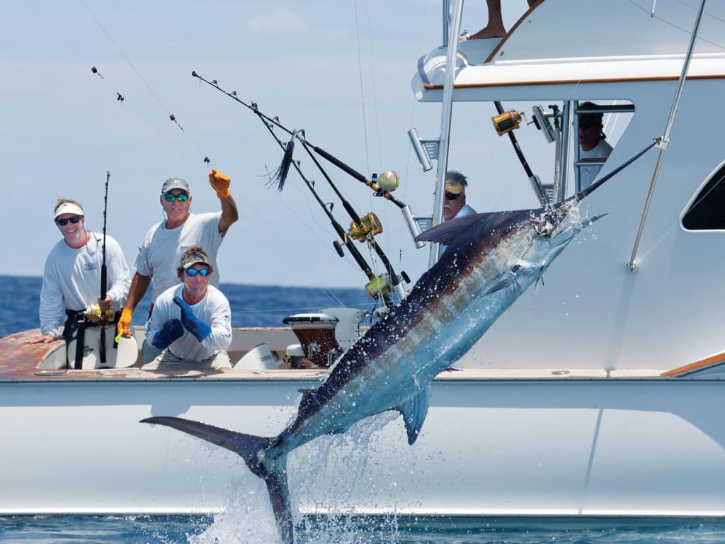 Marlin Fishing Photography, Richard Gibson