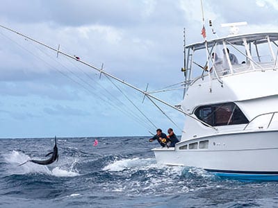 blue marlin jumping at the boat