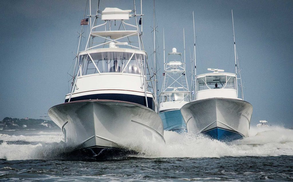 Lowcountry Billfishing