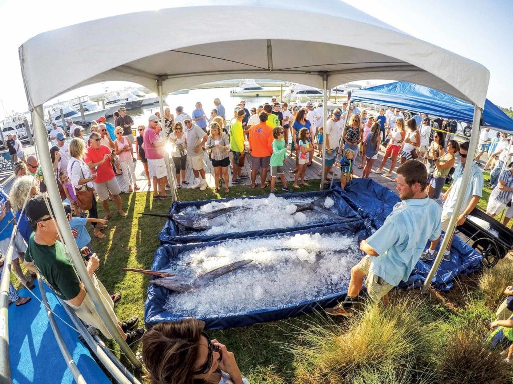 The South Carolina Governor’s Cup Billfishing Series has a wanton-waste rule for its events