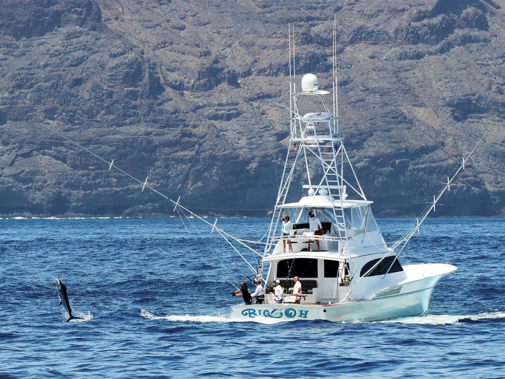 Captain Ronnie Fields Big Oh Gray Ingram Cape Verde blue marlin fishing