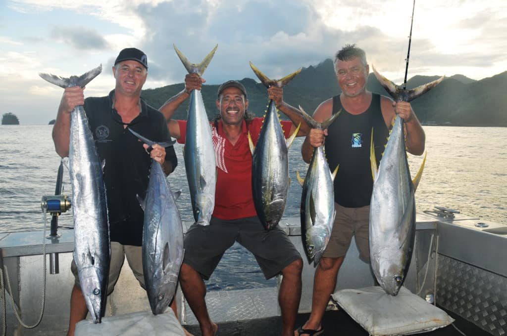 nice catch of yellowfin tuna off american samoa