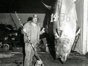 Black and white image of a man standing next to a bluefin tuna.