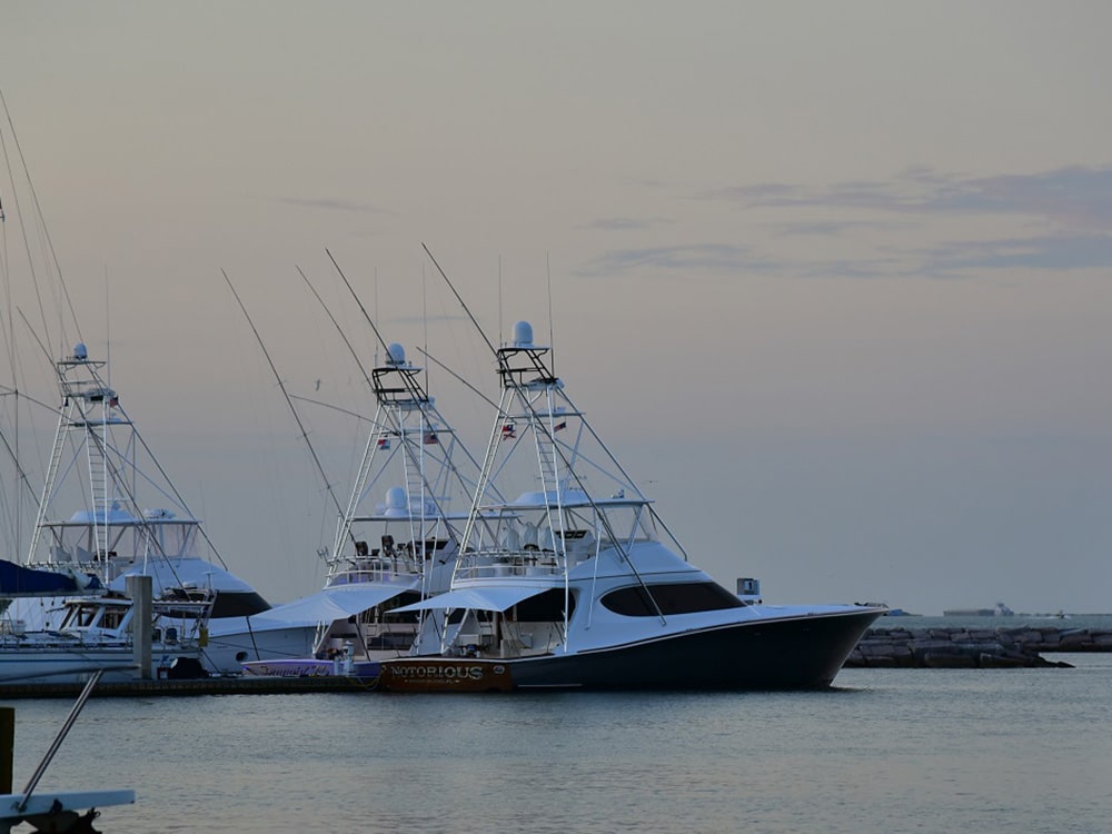 2017 texas legends billfish tournament