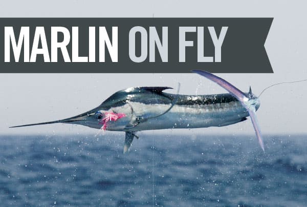 Sailfish Flies, Saltwater Fly Fishing Flies, Billfish Flies