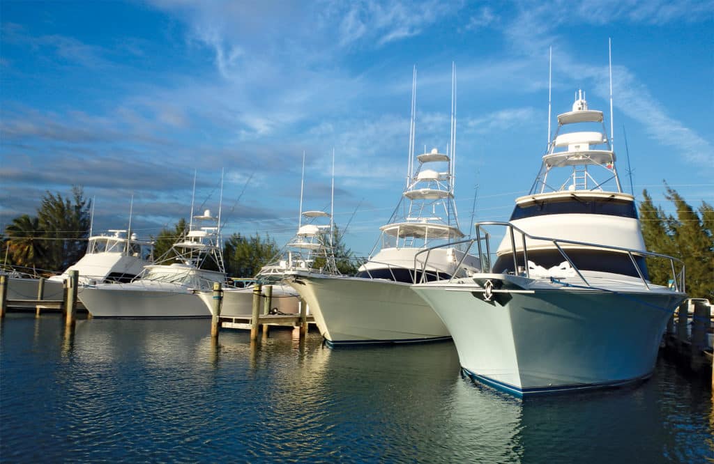 Cat Island Marlin Fishing