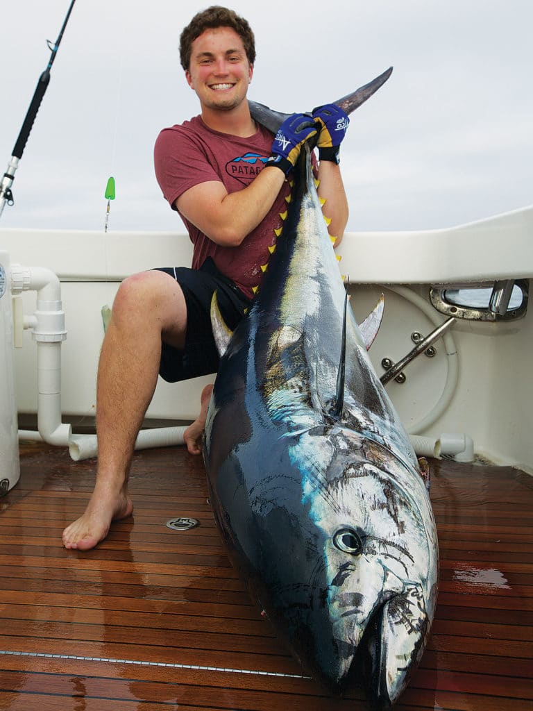 Pacific bluefin tuna