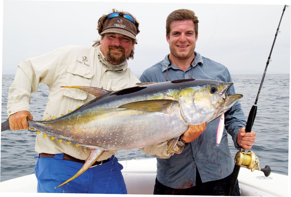 yellowfin and bluefin tuna fishing