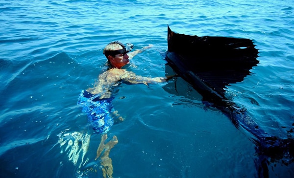 sailfish-photo-contest0143.jpg