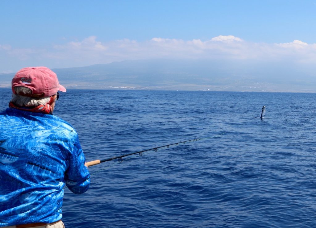 spearfish jumping off Kona, Hawaii