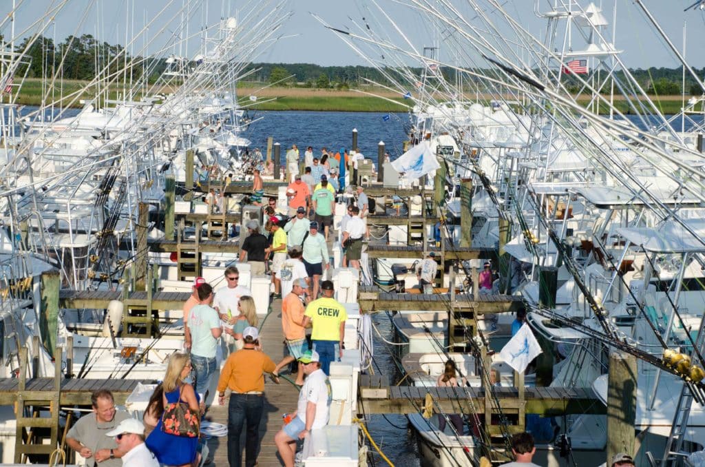 2016 Georgetown Blue Marlin Tournament spectators