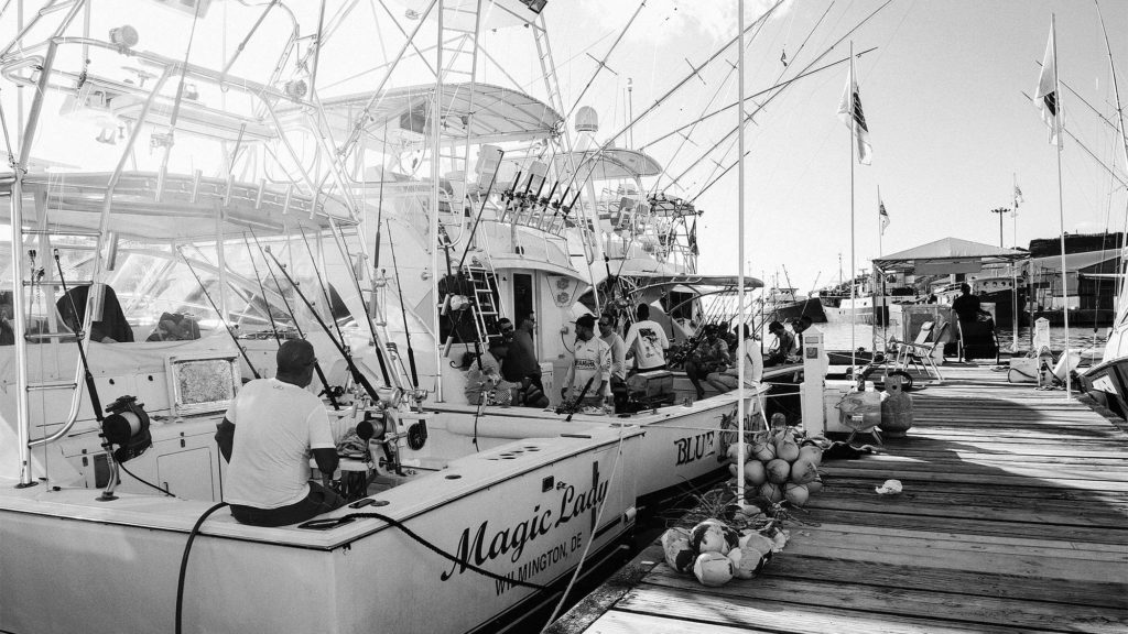 spice island billfish tournament docks