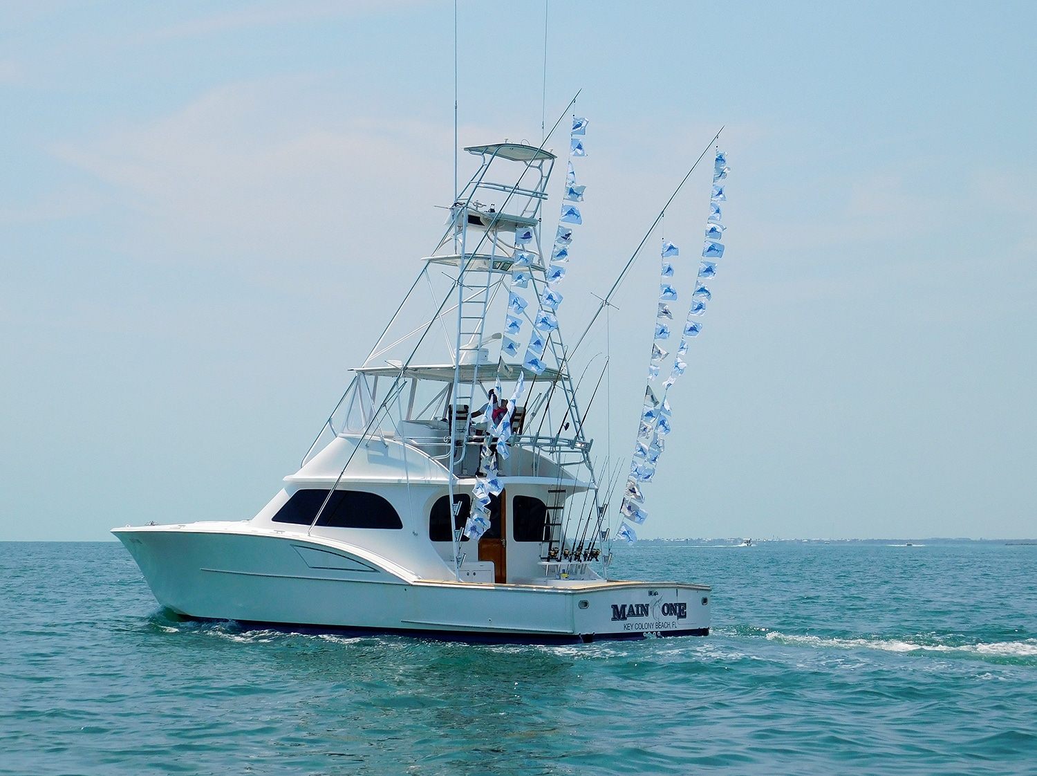 Record-Breaking Sailfish Action in the Florida Keys