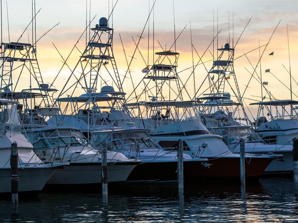 line up of sport fishing yachts at sunset