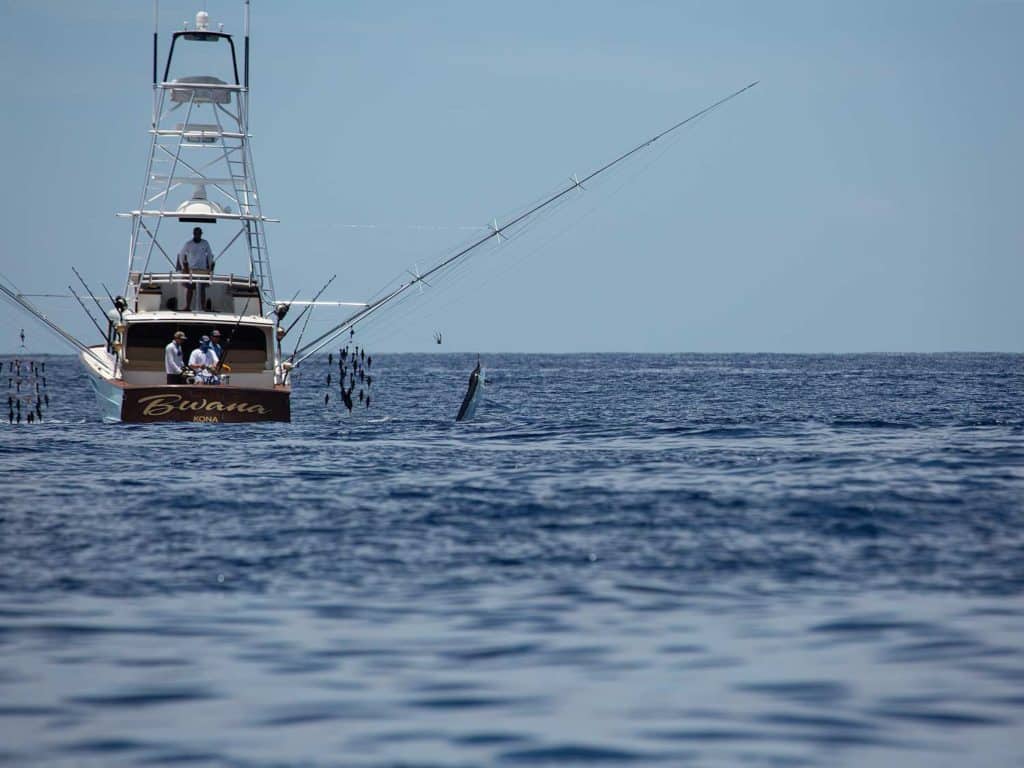 Team Bwana at the 2019 Hawaii Marlin Tournament Series.