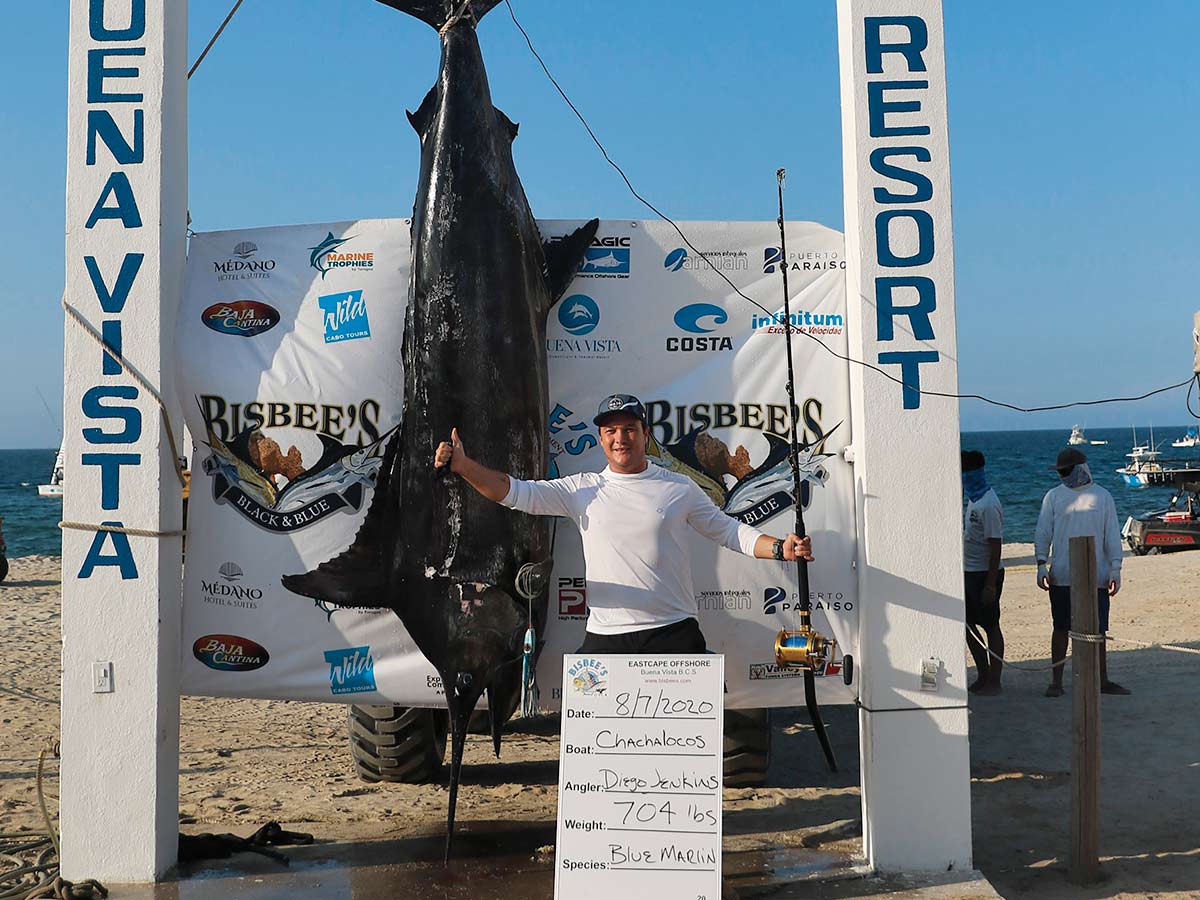 No Big Winner in 2020 Bisbee’s Black and Blue Marlin Jackpot Marlin